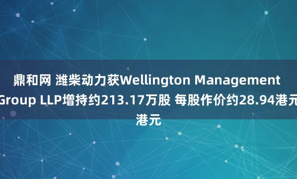 鼎和网 潍柴动力获Wellington Management Group LLP增持约213.17万股 每股作价约28.94港元